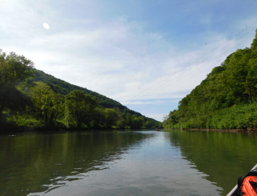 Canoeing the Gorge-ous Conemaugh River