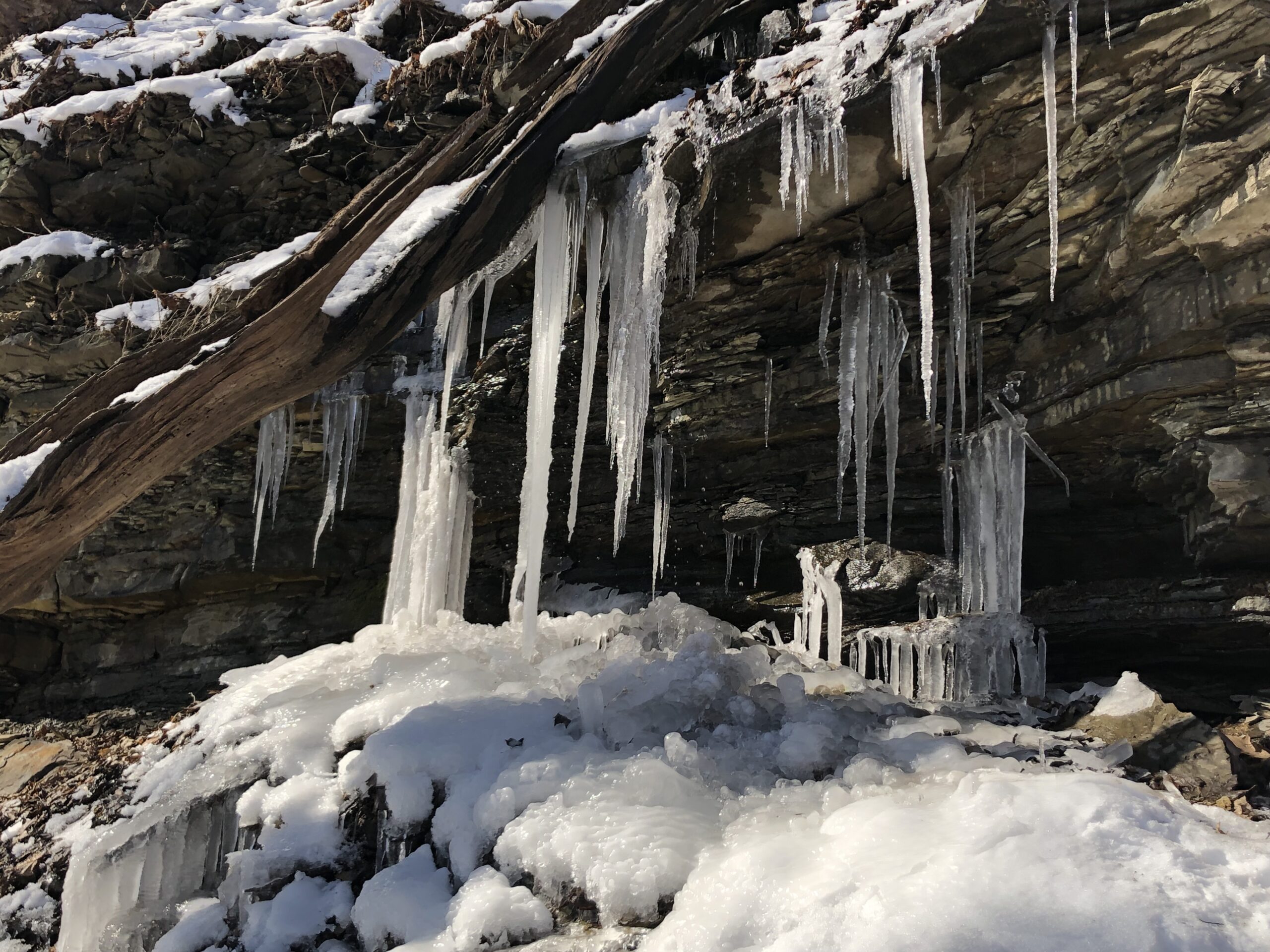 Icicles at a cave entrance